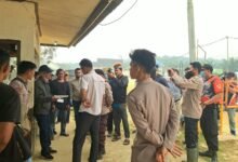 Alasan Warga Segel 1.731 Hektar Perkebunan Sawit PT AGU di Montallat