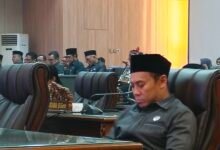 Apresiasi Langkah Pemkab Barito Utara Buka Akses Jalan demi Jaringan Listrik Desa