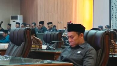 Apresiasi Langkah Pemkab Barito Utara Buka Akses Jalan demi Jaringan Listrik Desa Apresiasi Langkah Pemkab Barito Utara Buka Akses Jalan demi Jaringan Listrik Desa