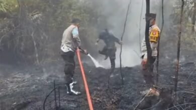 Karhutla Dekat Pemukiman, Polsek Montallat Imbau Warga Stop Bakar Lahan Karhutla Dekat Pemukiman, Polsek Montallat Imbau Warga Stop Bakar Lahan